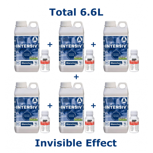 Blanchon INTENSIV ( +hardener) 6.6L (six 1L cans & six 0.1L cans) INVISIBLE EFF 04220168& 01790015